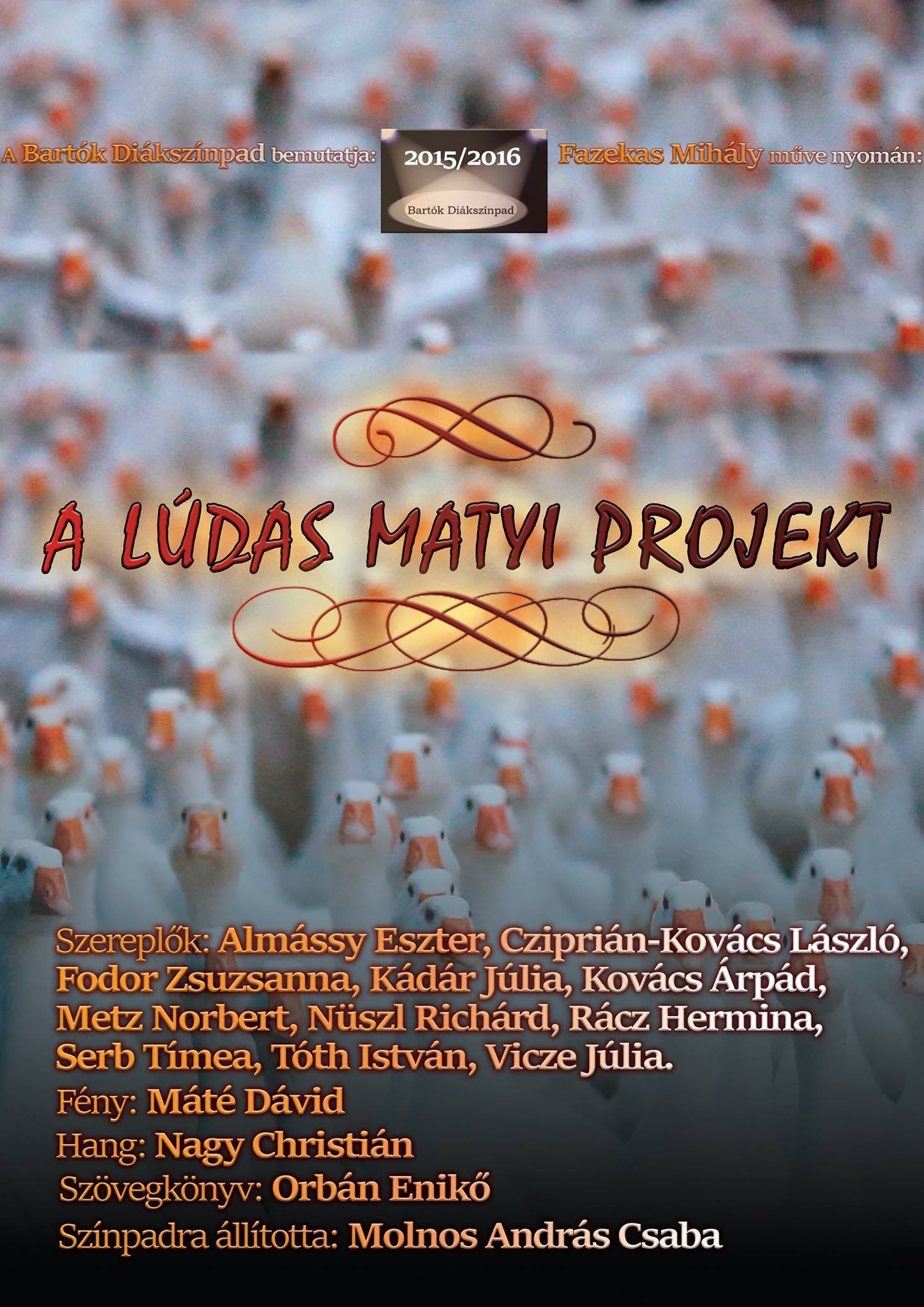 A Lúdas Matyi Projekt plakát
